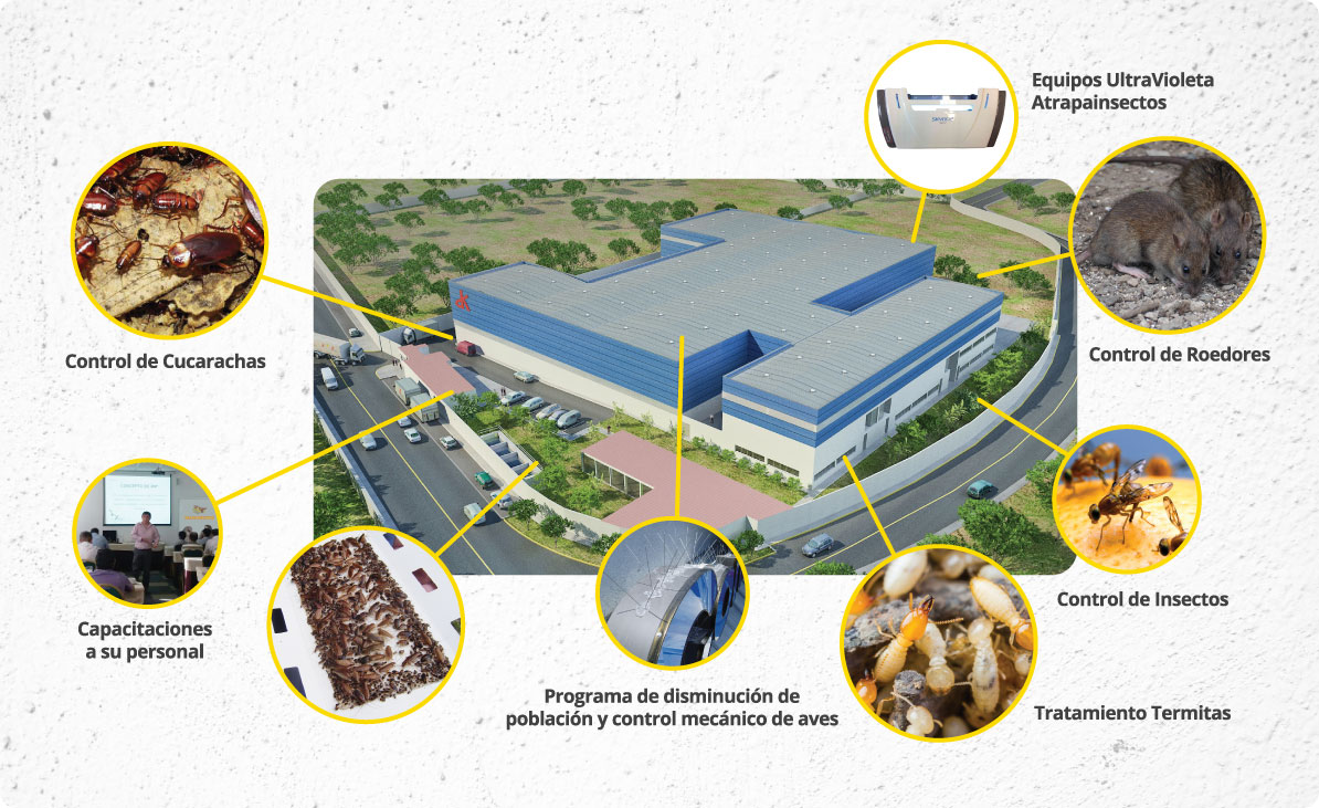 Manejo Integral de Plagas para Empresas